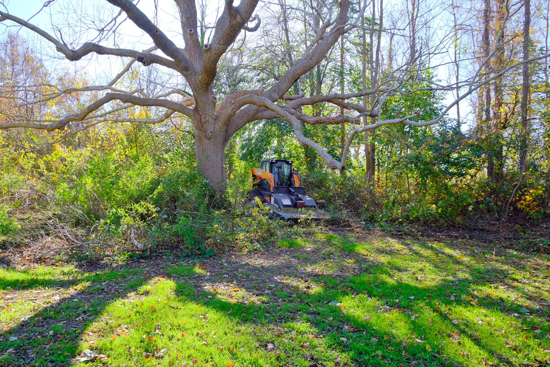 Brady Island Brush Clearing.